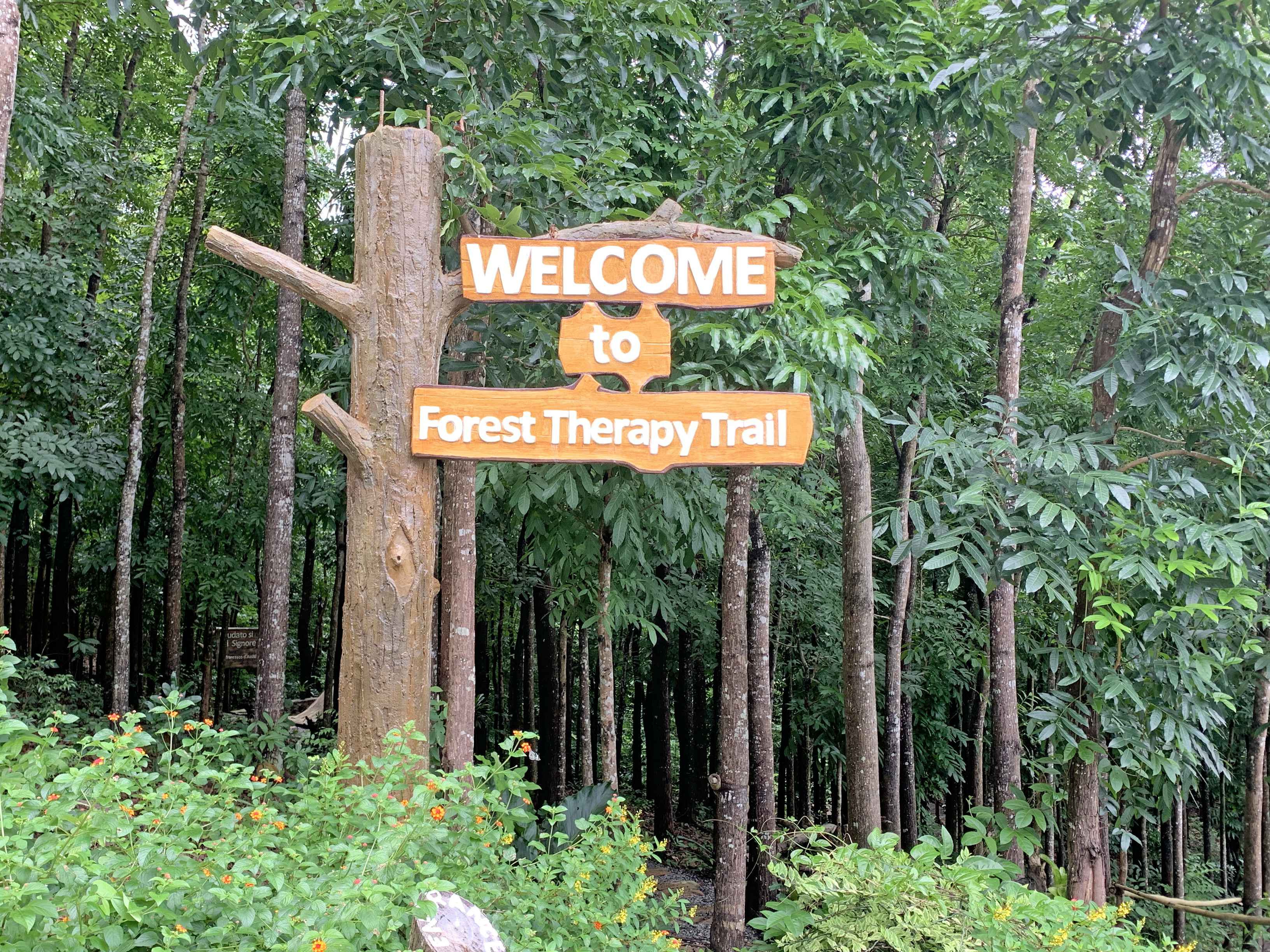 Therapy Trail